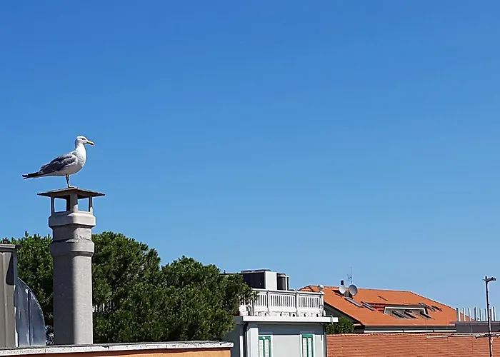 Hotel Le Pleiadi Bellaria-Igea Marina