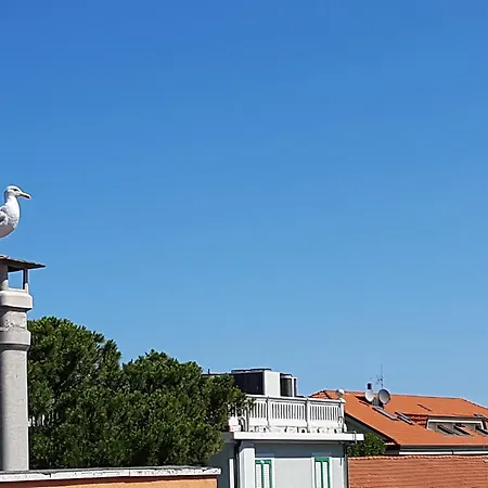 ホテル Le Pleiadi ベラーリア・イジェア・マリーナ